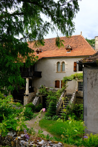 DSCF0575.JPG