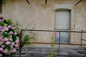 DSCF0577.JPG