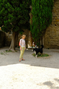DSCF0590.JPG
