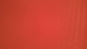 IMG_1401.MOV