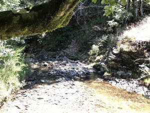 IMG_1451_heic.JPG