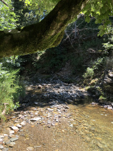 IMG_1453_heic.JPG