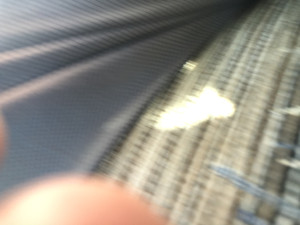 IMG_1536.JPG