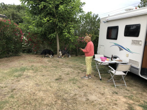 IMG_1929_HEIC.JPG