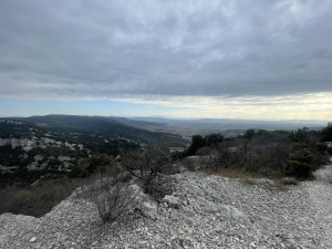 IMG_3814.JPG