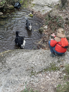 IMG_3841.JPG