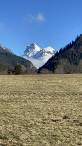 IMG_0485.JPG