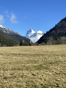 IMG_0491.JPG