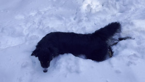 PC000180.mov