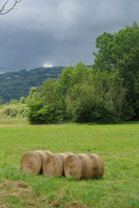 IMGP0281.JPG