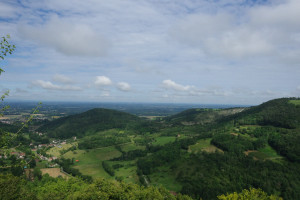 IMGP0298.JPG