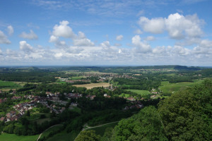 IMGP0313.JPG