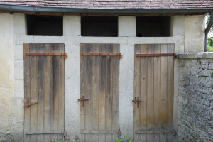 IMGP0316.JPG