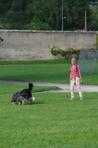 IMGP0356.JPG