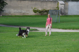 IMGP0357.JPG