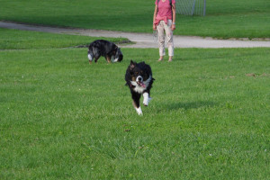 IMGP0359.JPG