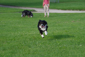 IMGP0360.JPG