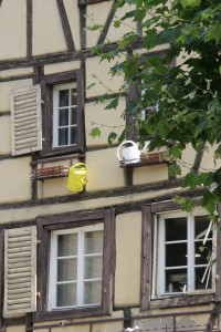 IMGP0379.jpg