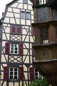 IMGP0382.JPG