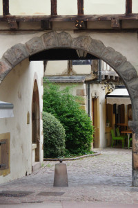 IMGP0386.JPG