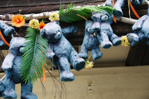 IMGP0389.JPG