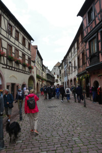 IMGP0398.JPG