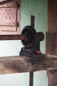 IMGP0406.JPG