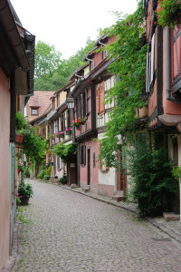 IMGP0409.JPG