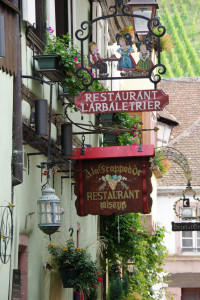 IMGP0411.JPG
