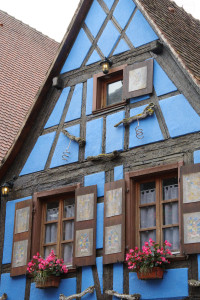 IMGP0418.JPG