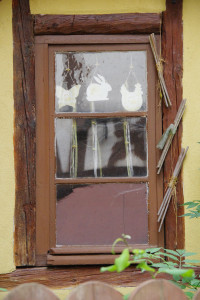 IMGP0420.JPG