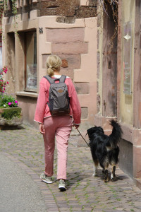 IMGP0430.JPG