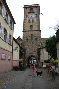 IMGP0433.JPG