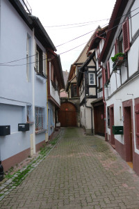 IMGP0436.JPG