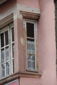 IMGP0439.JPG