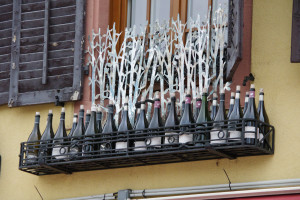 IMGP0440.JPG