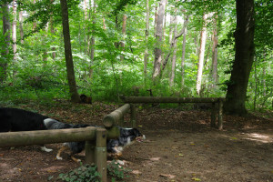 IMGP0475.JPG