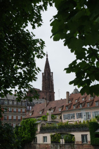 IMGP0506.JPG