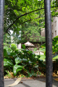 IMGP0518.JPG