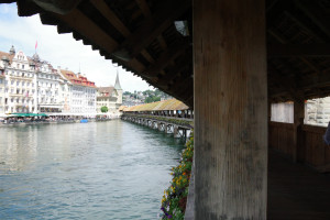 IMGP0540.JPG