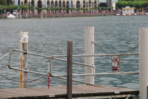 IMGP0573.JPG