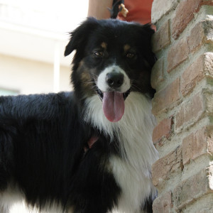 IMGP0625.jpg