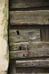 IMGP0719.JPG