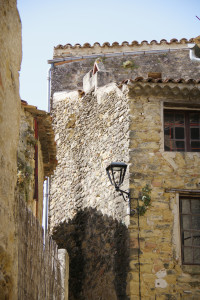IMGP0803.JPG
