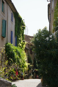 IMGP0804.JPG