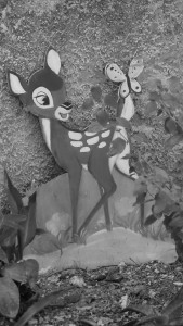IMGP0810.jpg
