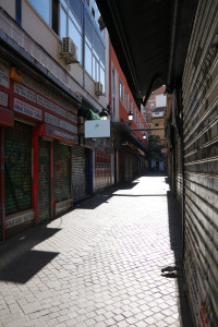 IMGP0964.JPG
