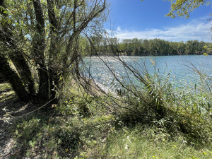 IMG_5692.JPG