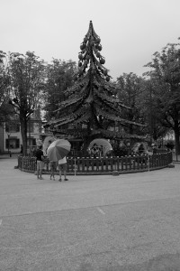 L1030242.JPG