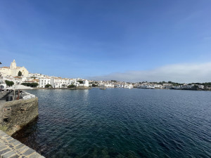 IMG_6432.JPG
